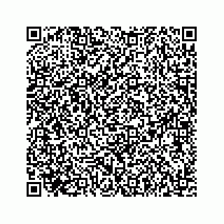 vCard 73533999087
