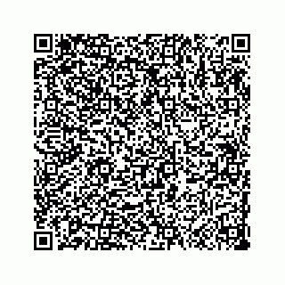 vCard 73533999088