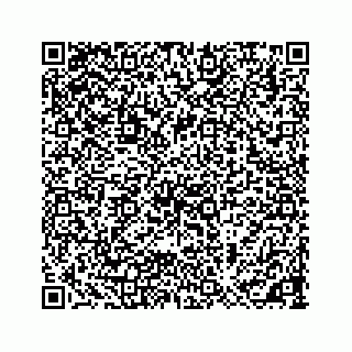 vCard 73533999089
