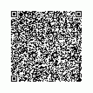 vCard 73533999091