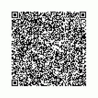 vCard 73533999092