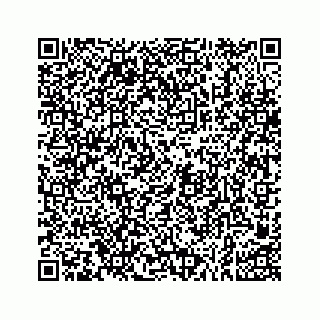 vCard 73533999093