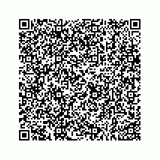 vCard 73533999095