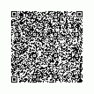 vCard 73533999096
