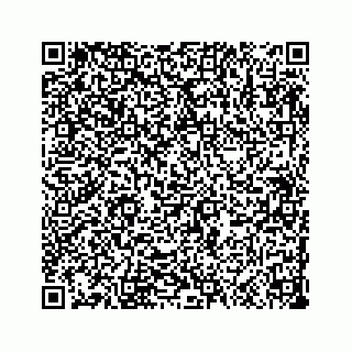 vCard 73533999097