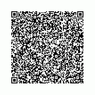 vCard 73533999098
