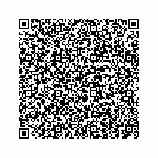 vCard 73533999099