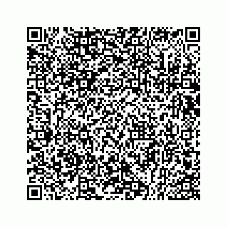 vCard 73534233300