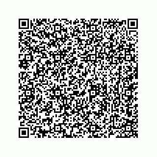 vCard 73534840384