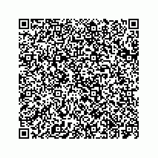 vCard 73534848233