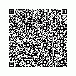 vCard 73535258100