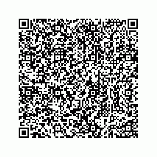 vCard 73535258112