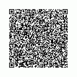 vCard 73535258153