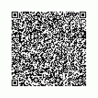 vCard 73535258171