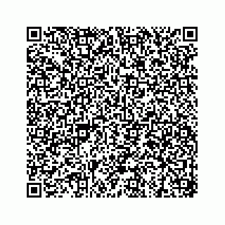 vCard 73535258279