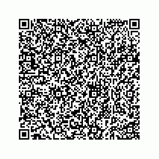 vCard 73535258291