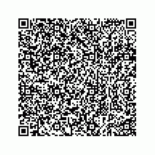 vCard 73535258304