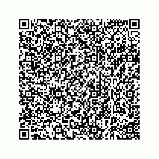vCard 73535258311