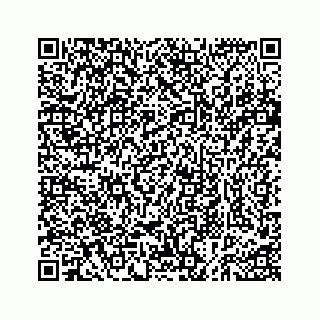 vCard 73535258317