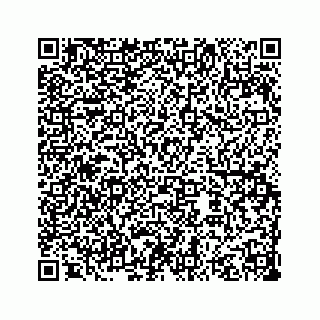 vCard 73535258368