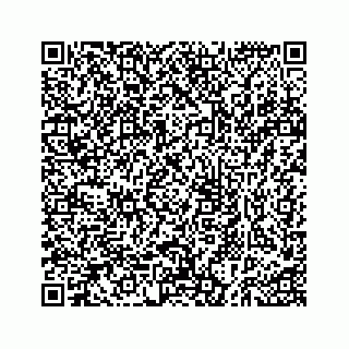 vCard 73535258369