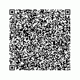 vCard 73535258387