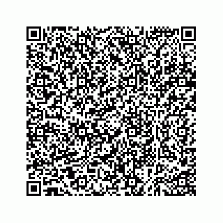 vCard 73535258409