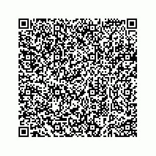 vCard 73535258419