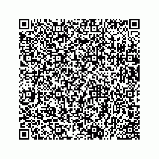 vCard 73535539296