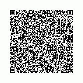 vCard 73535539303