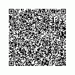 vCard 73535539310