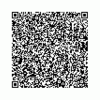 vCard 73535539313