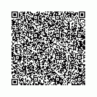 vCard 73535539331