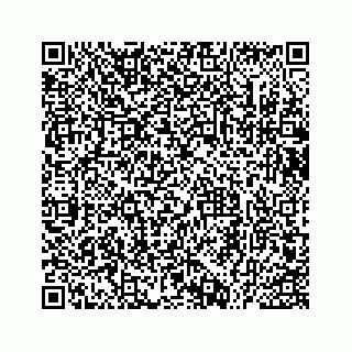 vCard 73535539333