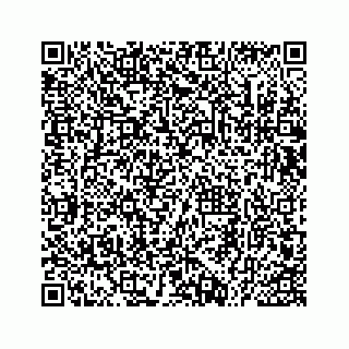 vCard 73535539334