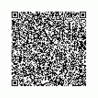 vCard 73535539379
