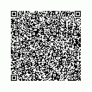 vCard 73535539381