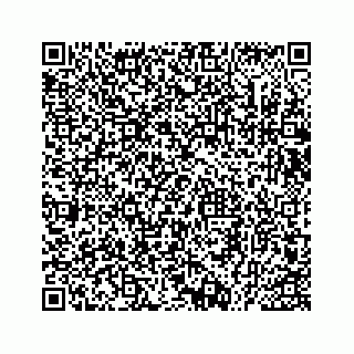 vCard 73535539385