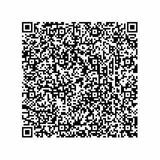 vCard 73537203131