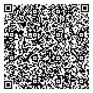 vCard 73537204539