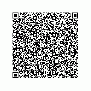 vCard 73652375381