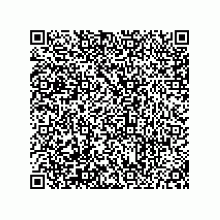 vCard 73655741952