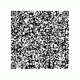 vCard 73656130321
