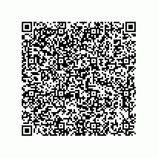 vCard 73656133419