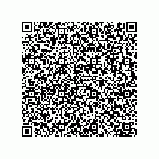 vCard 73656133533