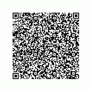 vCard 73656133534