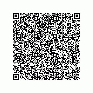 vCard 73656133741