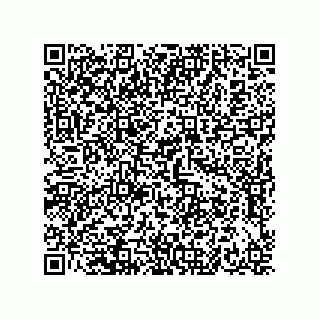 vCard 73656133781