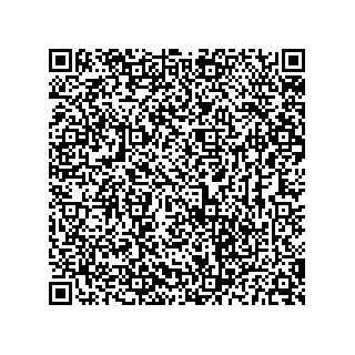 vCard 73656396160