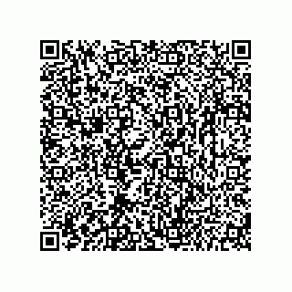 vCard 73656532913
